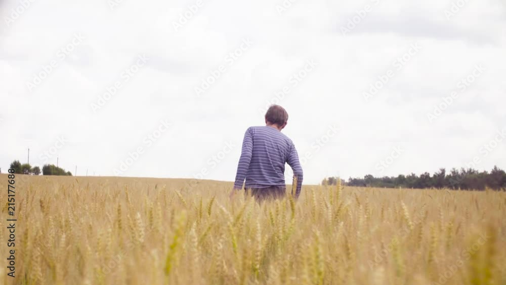 Dolly shot. The man scientist environmentalist with the tool box in his hand walking through the wheat field. Rear view Dolly shot. The man scientist environmentalist with the tool box in his hand walking through the wheat field. Rear view