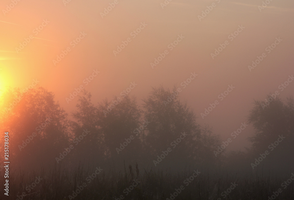 thick fog and the first rays of the sun thick fog and the first rays of the sun