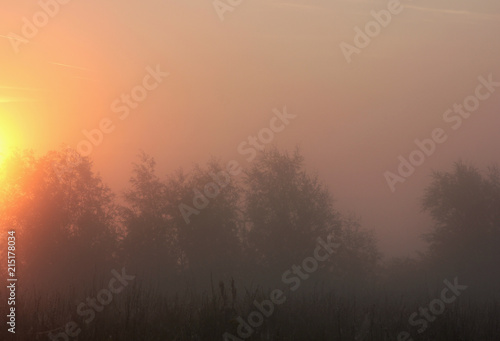 thick fog and the first rays of the sun