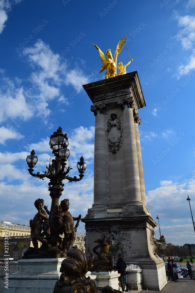 Fototapeta premium The famous Pont Alexandre III over the Seine in Paris