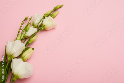 Fototapeta Naklejka Na Ścianę i Meble -  Branch of white blossoming eustoma on pink flatlay