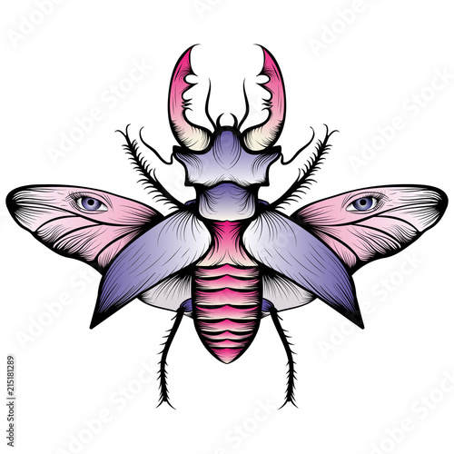 Pastel stag beetle drawing