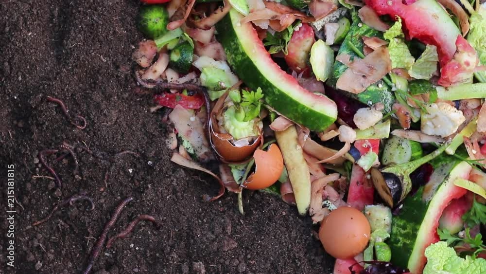 Recycle kitchen waste with the help of earthworms. Using Worms to Compost Garden Leaves, Food