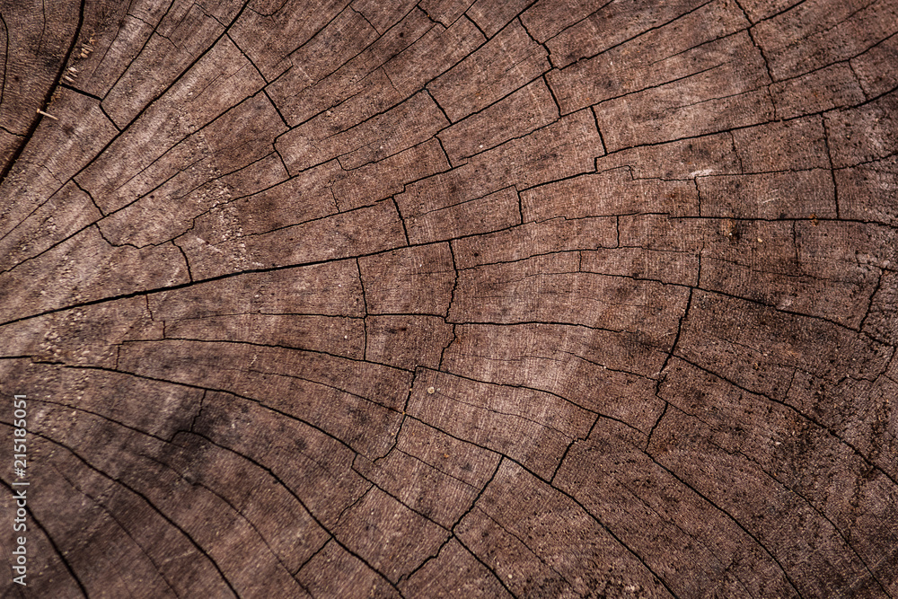 Naklejka premium Natural Cracked Wood Texture