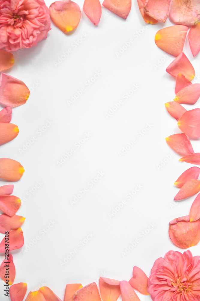 Fototapeta premium frame of rose petals on white background