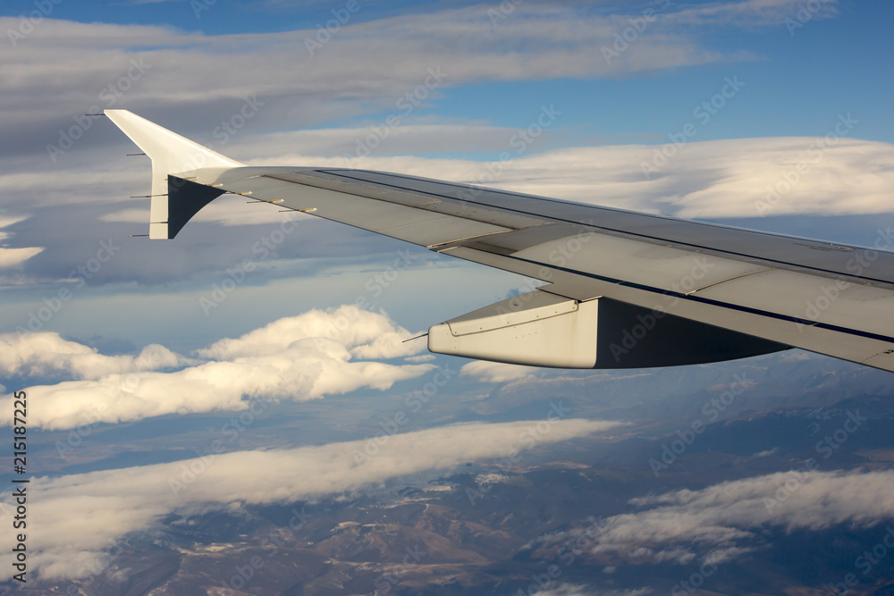 Fototapeta premium Airplane in flight