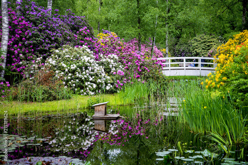 Fototapeta Naklejka Na Ścianę i Meble -  A colourful Wonderland, grand multicoloured blooms – Miniature looking bridge  – Lovely reflections,  many Lily pads, water lilies & Bird house in the water body - an enchanting look.
