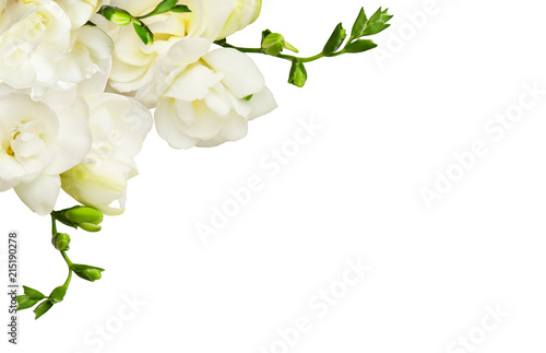 Fresh white freesia flowers in a corner arrangement