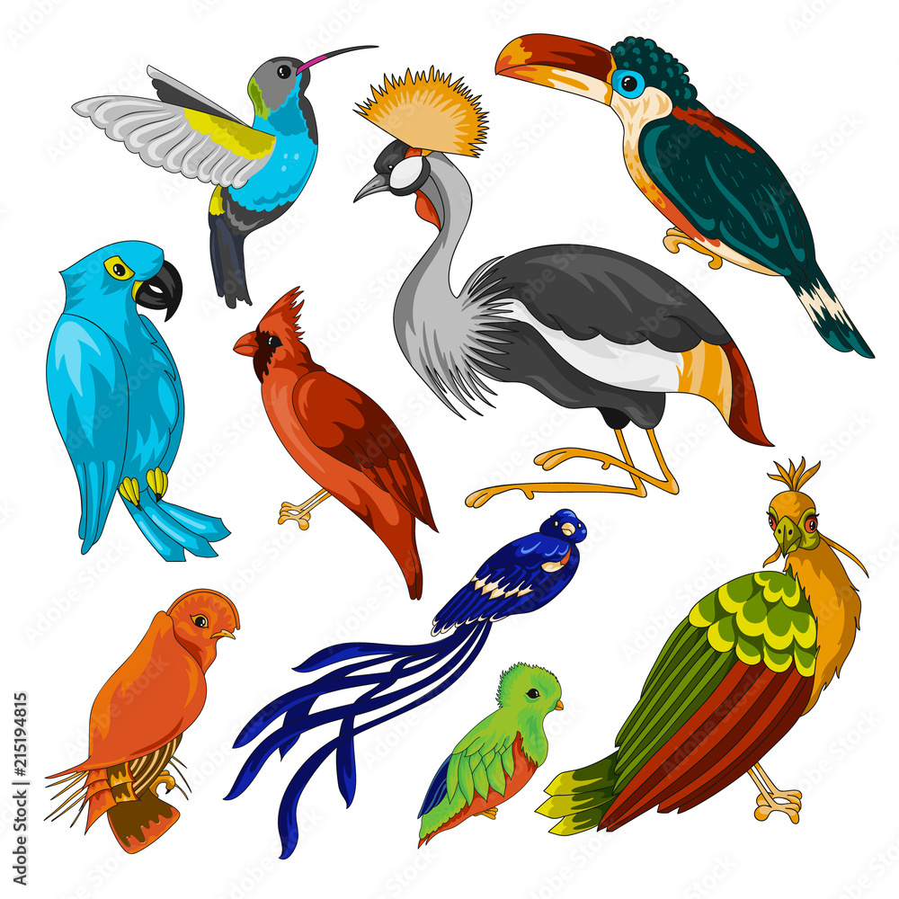 Naklejka premium Big set of exotic birds