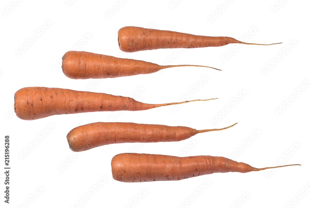 Carrots row on a white background Carrots row on a white background