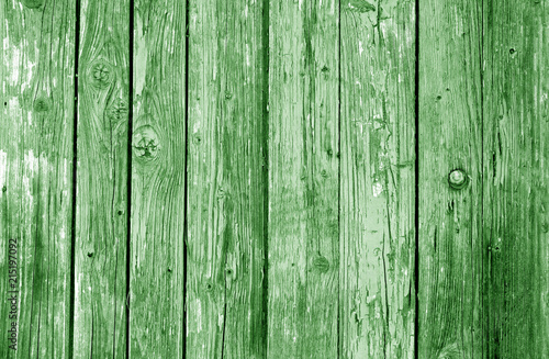 Old grunge wooden fence pattern in green tone.