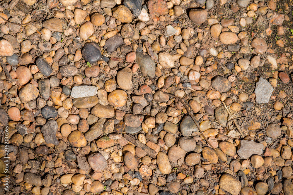 Gravel in the summer Gravel in the summer