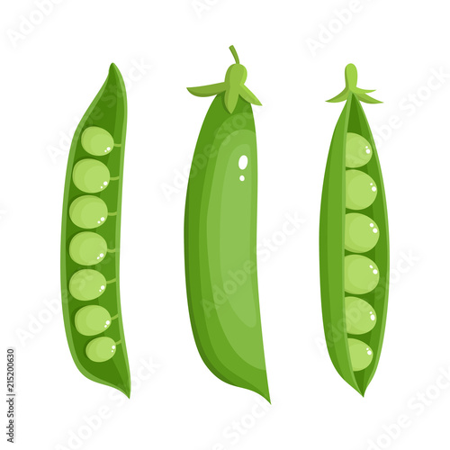 Bright vector collection of colorful peas isolated on white