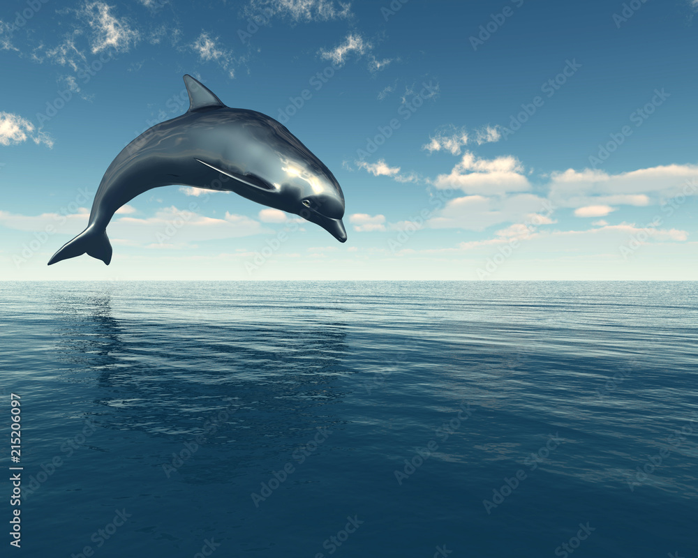 Fototapeta premium dolphin jumping out of the water
