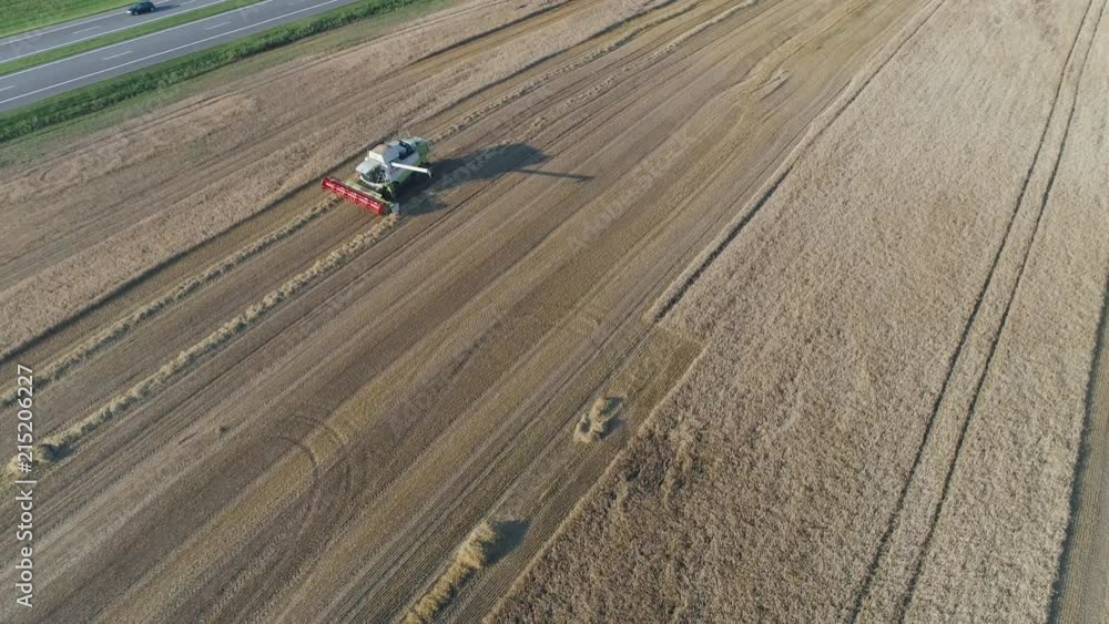 Flight over the field, oats, view from height combine harvester removes oats.
Flight over the field, oats, view from height combine harvester removes oats.