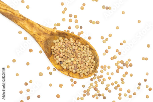 Lot of whole raw green lentil seeds in olive wood spoon and around flatlay isolated on white photo