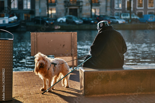 Fotografi Older woman sitting on a bench with her dog on the line in Amsterdam, looking ov