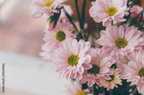 Fototapeta Naklejka Na Ścianę i Meble -  Fresh Pink daisy blossoming flowers in vase on wooden table. Decorations in cafe.