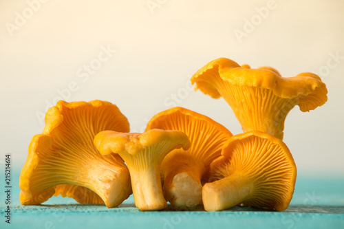 Chanterelles on the table
