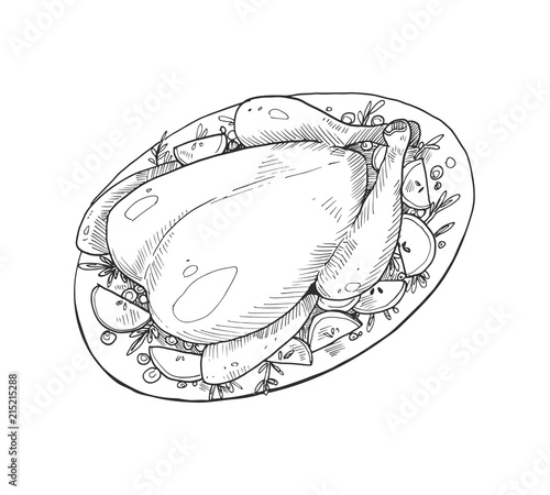 Traditional thanksgiving roasted turkey sketch isolated on white background. Vector llustration.