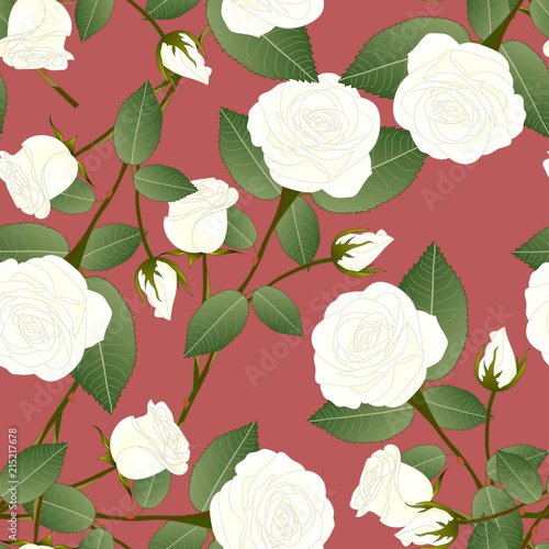 White Rose - Rosa on Red Br...