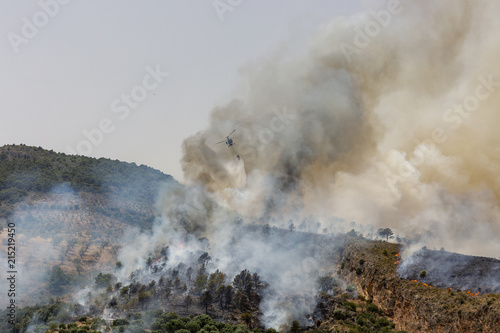 Incendio forestal en los bosques de Granada, España