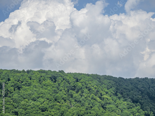 Thick white clouds over the forest © jockermax3d
