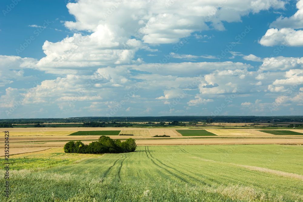 View of fields and forests, horizon and clouds in the blue sky View of fields and forests, horizon and clouds in the blue sky