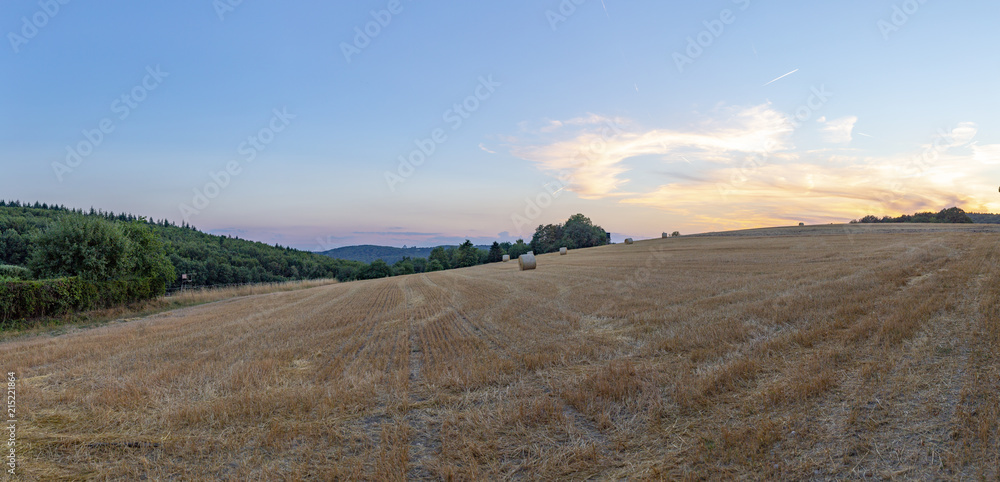 Obraz premium rural landscape with harvested field and sunset