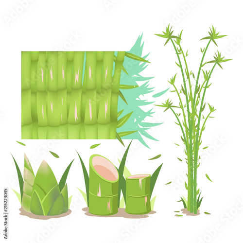Bamboo Tree Isolate Collection Set Vector