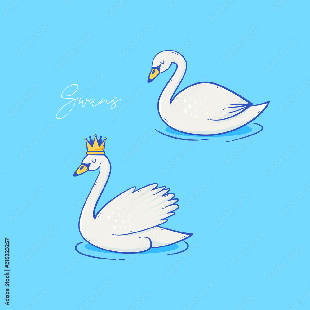 Swan vector design