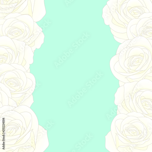 White Rose Border