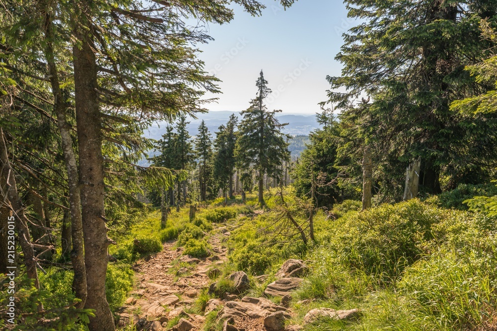 Fototapeta premium Landschaft auf dem Berg großer Rachel im Bayerischen Wald, Deutschland
