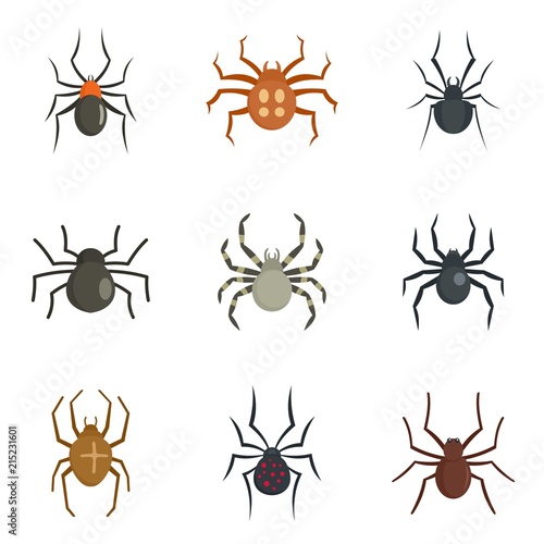 Spider bug caterpillar phobia icons set. Flat illustration of 9 spider bug caterpillar phobia vector icons isolated on white