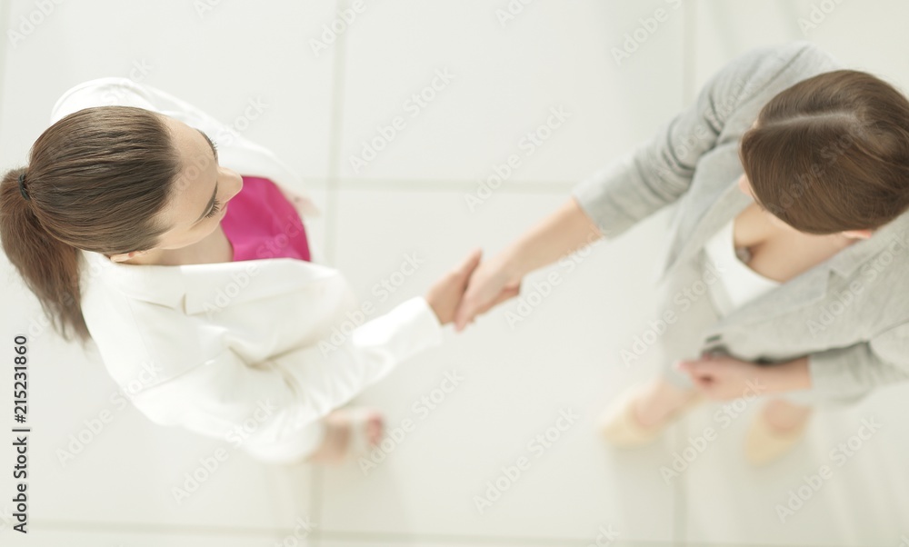 Fototapeta premium welcome and handshake business partners