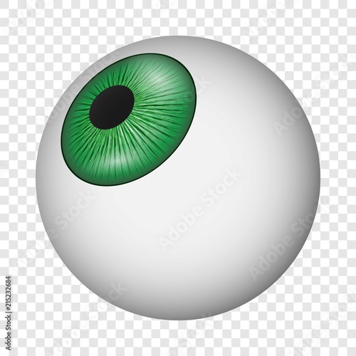 Eyeball icon. Realistic illustration of eyeball vector icon for on transparent background