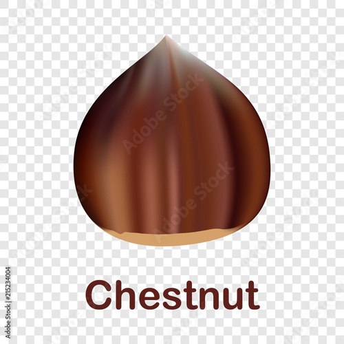 Chestnut icon. Realistic illustration of chestnut vector icon for on transparent background