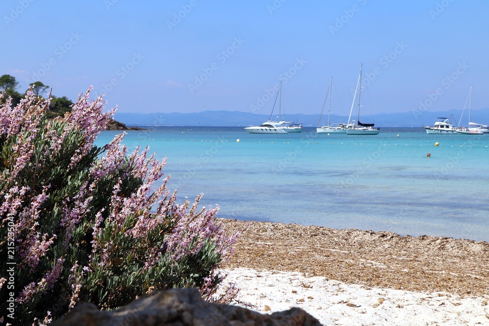 Porquerolles island, France. Beautiful view of Silver beach (Plage d'Argent).