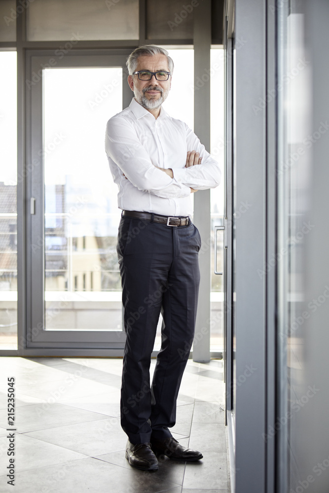 Portrait of smiling businessman standing at the window Portrait of smiling businessman standing at the window