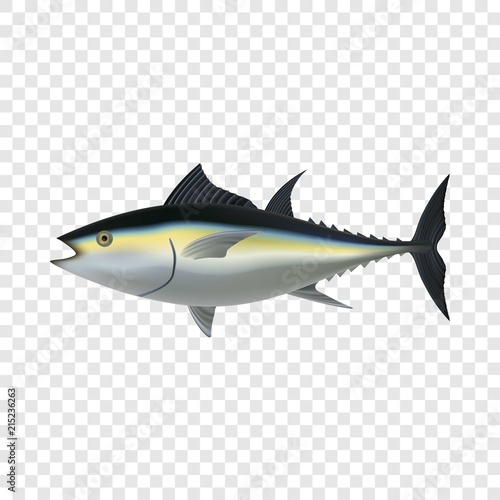 Tuna fish mockup. Realistic illustration of tuna fish vector mockup for on transparent background