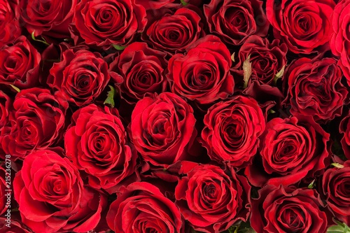 Fototapeta Naklejka Na Ścianę i Meble -  roses top view bouquet background closeup