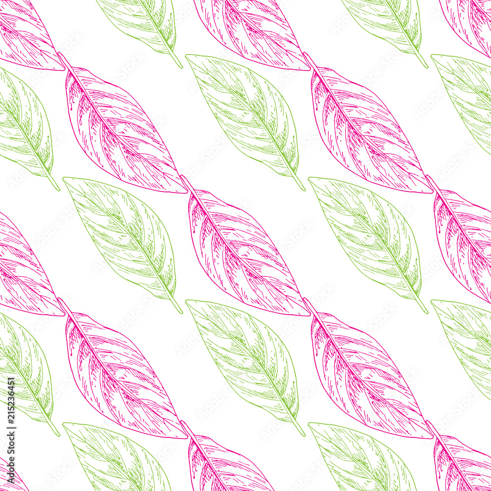 Vector seamless pattern with colored outline leaves on a white background. Backdrop for any design.