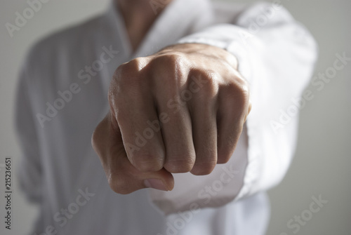 Karate fighter punch from a ready postion