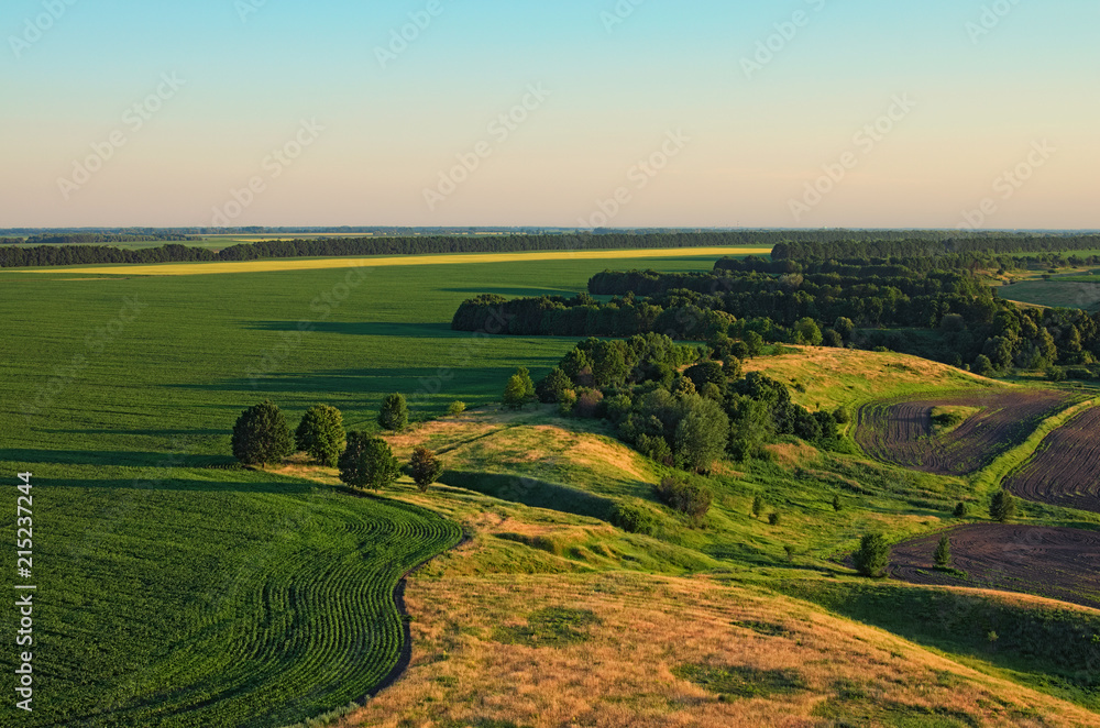 Aerial view over the agricultural fields on a sunny summer day. Kyiv region, Ukraine