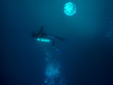 Scuba Diver in deep cold murky water with air bubbles, Galapagos, Ecuador