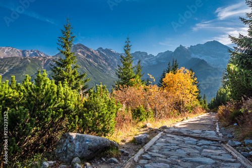 Stunning footpath in Tatras in autumn at sunset