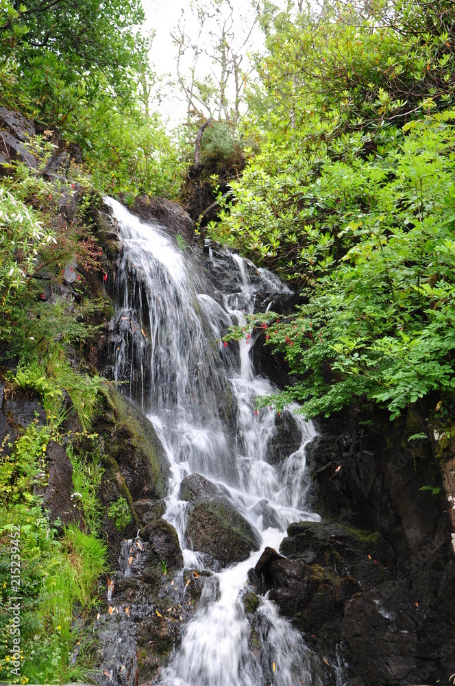 cascade du jardin du château de dunvegan ecosse ile de skye