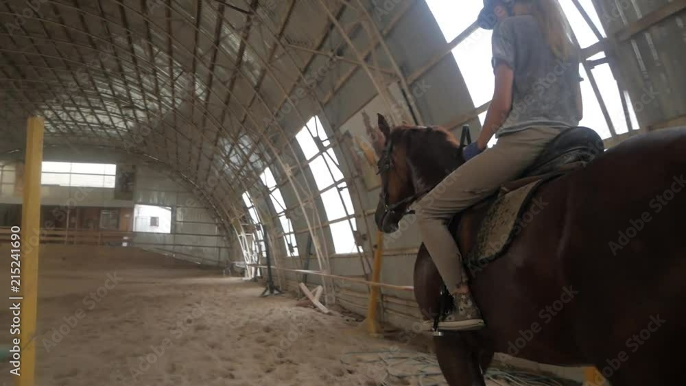 A girl trains a horse in an arena. Horse riding, horse racing, jumping A girl trains a horse in an arena. Horse riding, horse racing, jumping