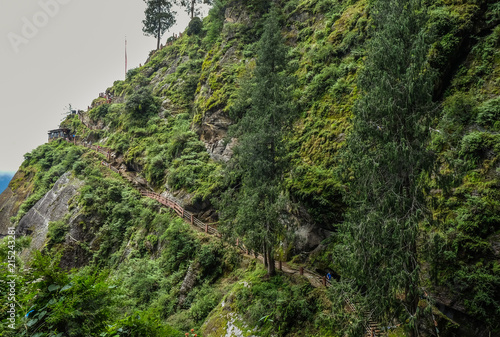 Forest trail to Taktshang Goemba photo