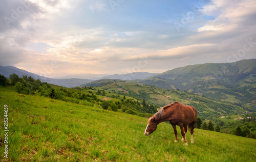 Grazing Horse. Beautiful Rural Mountain Landscape With A Red Horse Grazing On The Green Slope. Spring In Mountains, Border Of Romania And Ukraine.Horse Grazing Is Green Pasture On The Slopes 